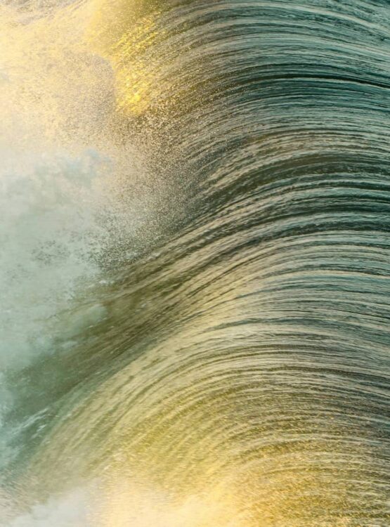 Regulation or Bypassing: Are You Rushing Your Emotions?